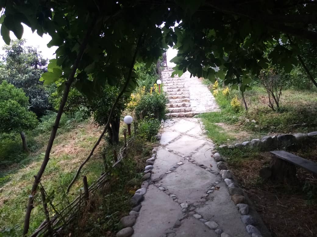 گالری تصاویر